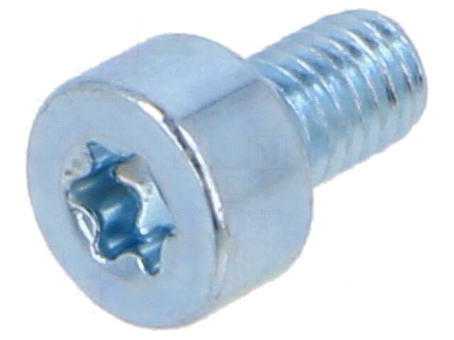 Schroef; M3x5; 0,5; Kop: cilinder; Torx®; TX10; staal; zink Schroef; M3x5; 0,5; Kop: cilinder; Torx®; TX10; staal; zink